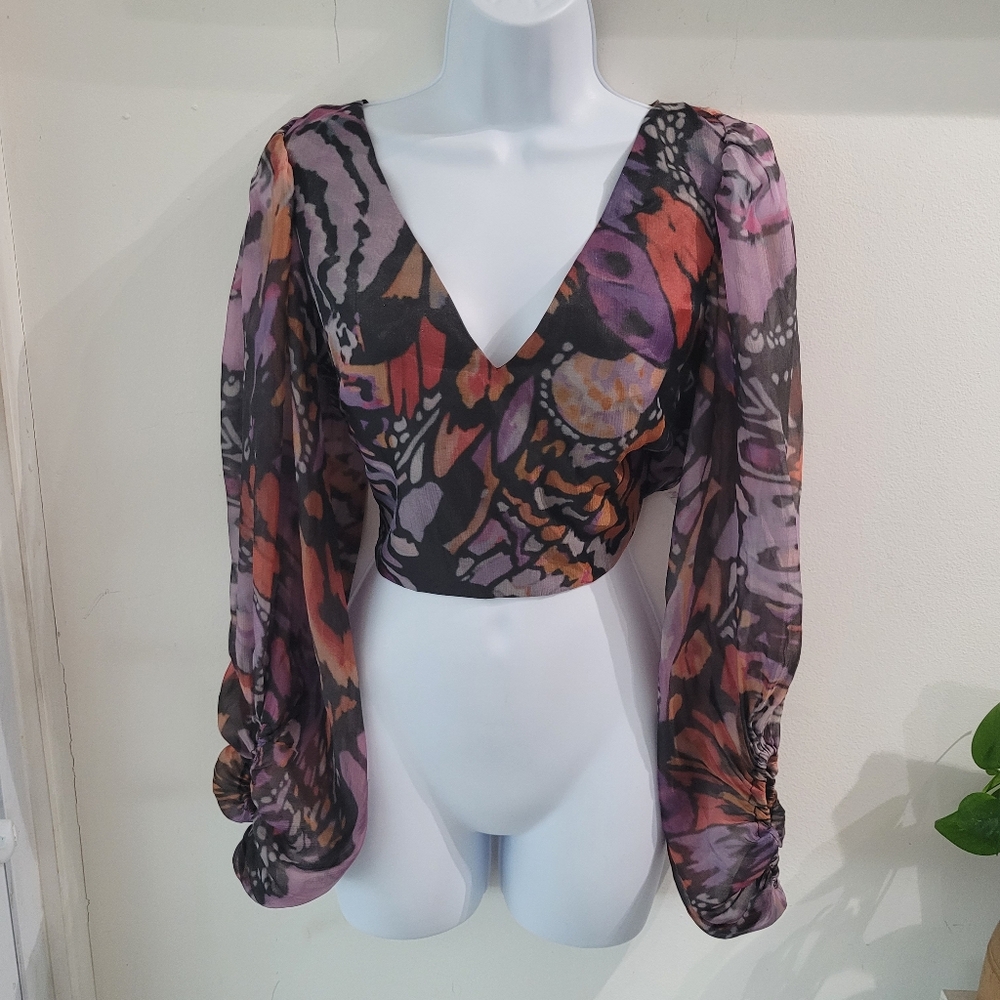 Hutch Multi-Color V-Neck Sheer Long Sleeve Crop Blouse
